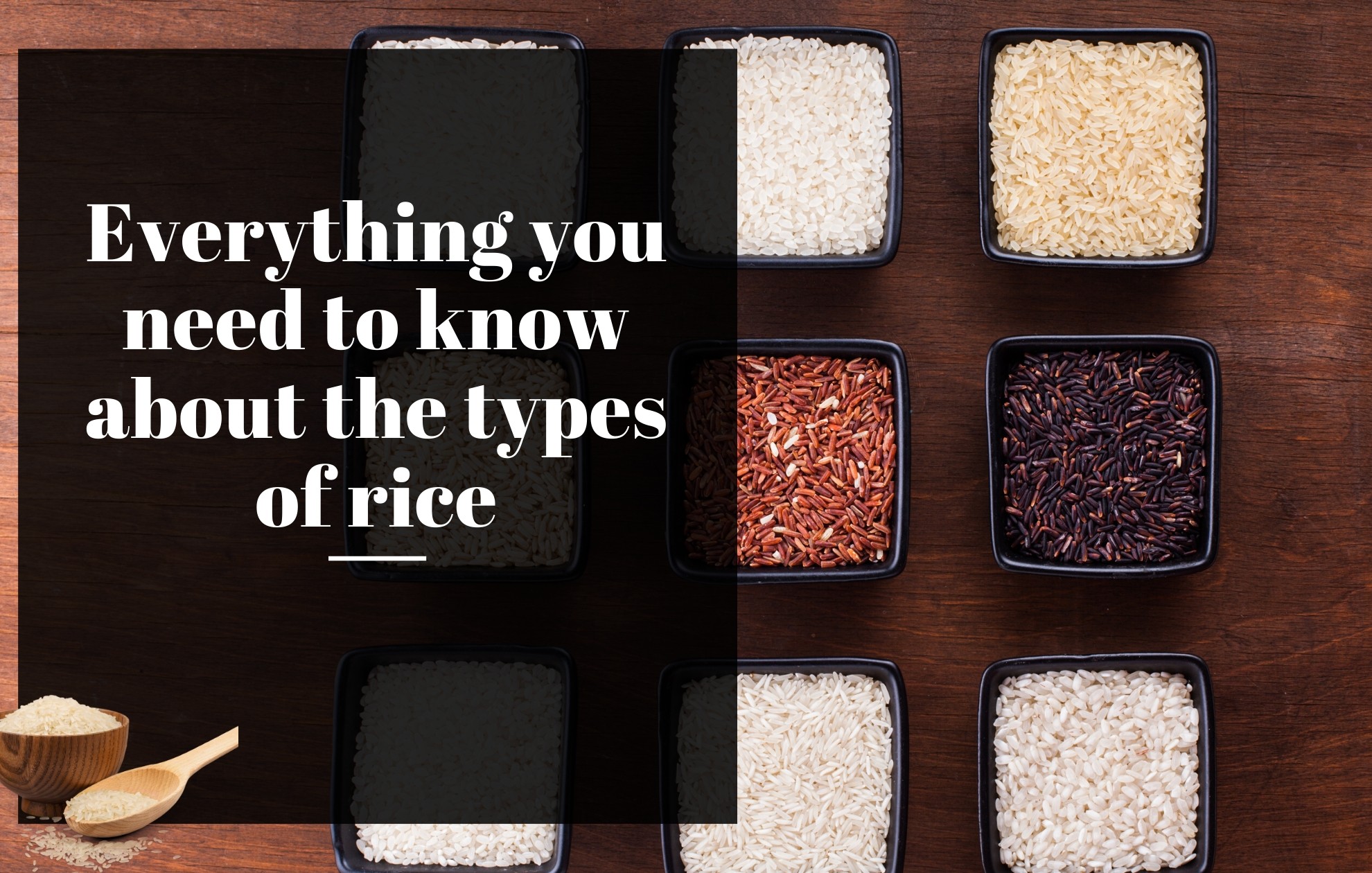 Everything you need to know about the types of rice