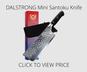 DALSTRONG Mini Santoku Knife