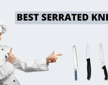 Best Serrated Knife Review of 2022